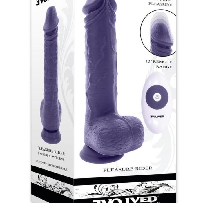 Pleasure Rider